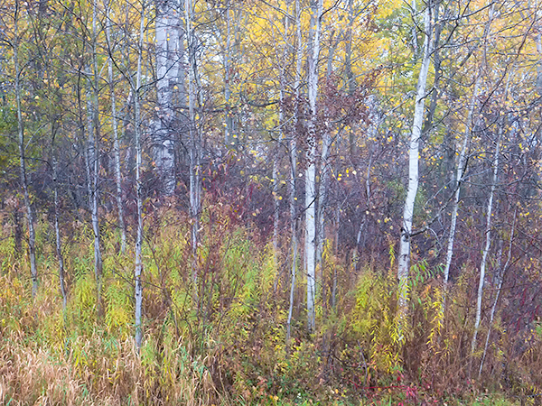 FALLSCAPE -  HALTON COUNTY - THEREABOUTS