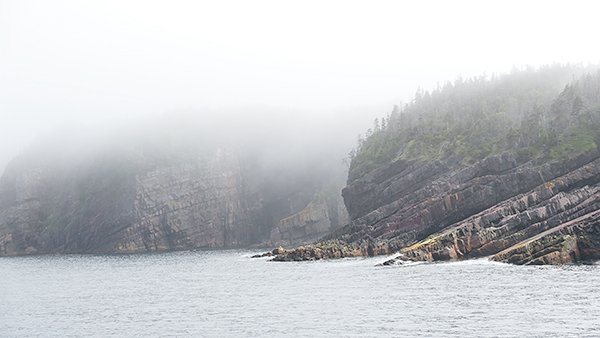 WITLESS BAY IN FOG - NEWFOUNDLAND