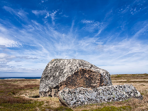 ERRATICS - CAPE FREELS - NEWFOUNDLAND