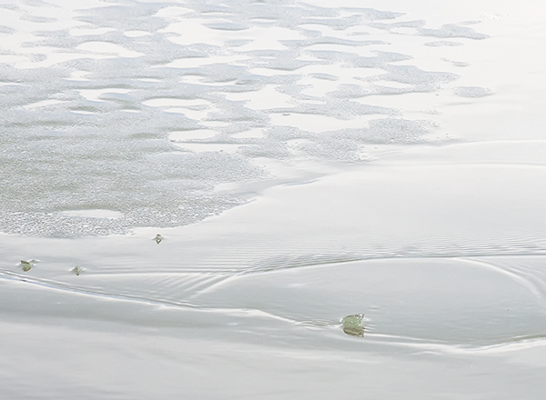 MELT #2 - LAKE ERIE - AT HOME
