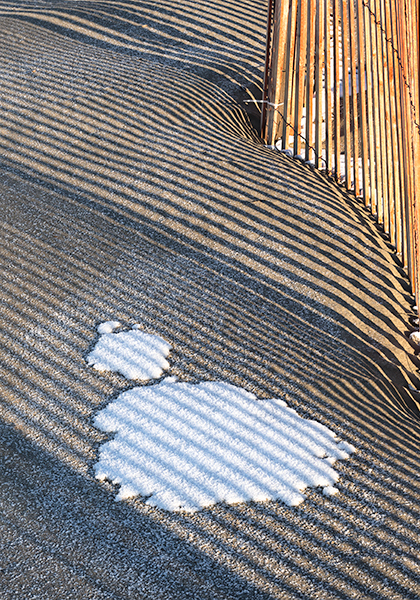 Fence-Shadows-Snow - Sand Fences Of Long Point Beach