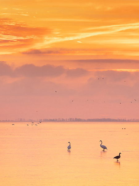 First Ice--Inner Bay - New Works