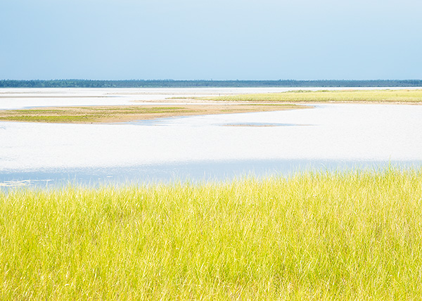 KOUCHIBOUGUAC NP #1 - NEW BRUNSWICK - NEW BRUNSWICK, 2017