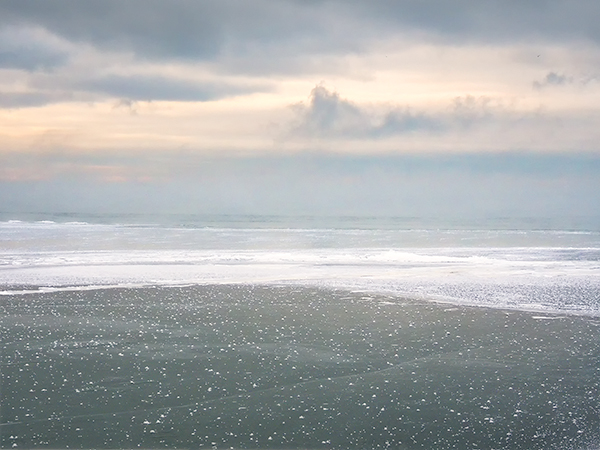 -20C, PORT DOVER, 2019 - NORFOLK COUNTY - PHOTO STORAGE