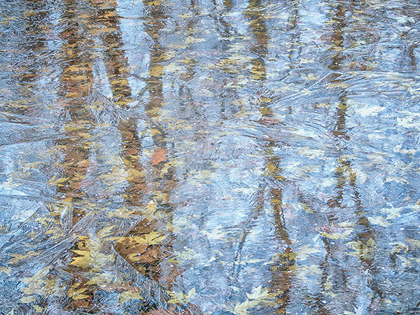 FIRST ICE - BACKUS WOODS - LARRY'S TENSET, 2013