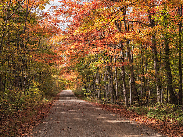 COUNTY ROAD 40 #2, OCTOBER 2016 - BRUCE COUNTY - THE LAND
