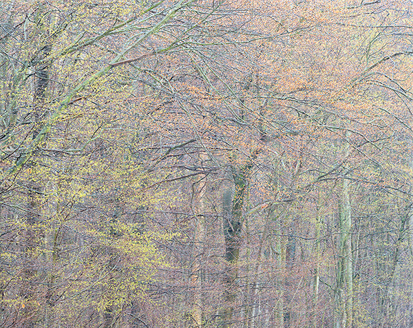 April, 2017 #3 - Norfolk County - SPRING