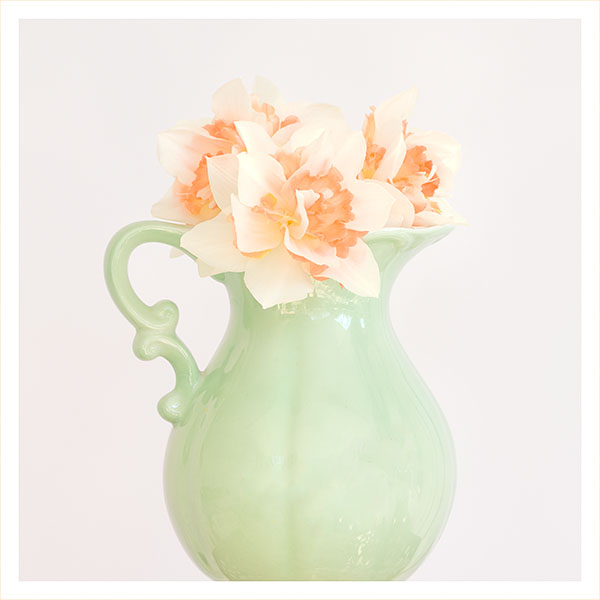 DOUBLE DAFFS, KATHY'S GARDEN - PORT RYERSE - FLORAL EXPRESSIONS