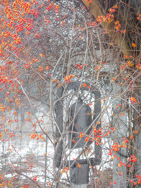 COLOUR -  WEEK #50 - COLOUR - A NEW 52 WEEK PROJECT!!!
