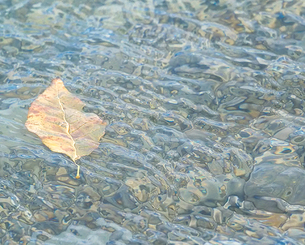 CARRIED AWAY #3 - OCTOBER, 2018 - THE BRUCE, OCTOBER 2018