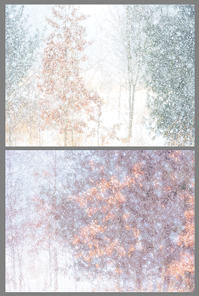 HE/SHE #22 2019 - HE SAW/SHE SAW 2018-2019