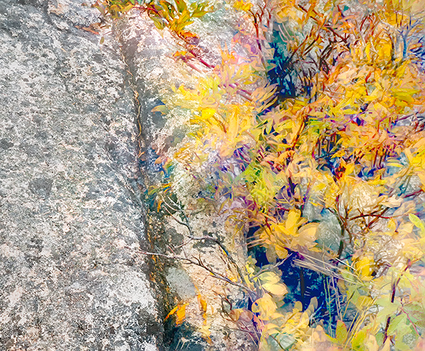 WINDSCAPE- ACADIA NP, MAINE - KATHY'S TENSET, 2014
