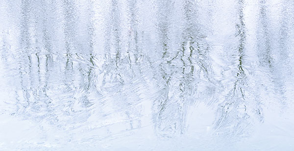 WINTER REFLECTIONS, OLD CUT, 2019 - LONG POINT - AT HOME