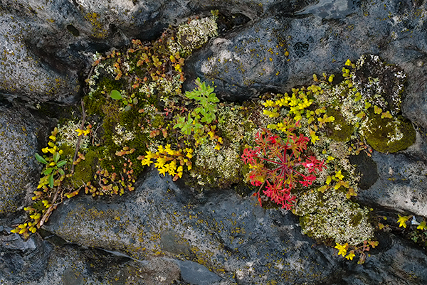 ARIEL - BRUCE PENINSULA - THE LAND