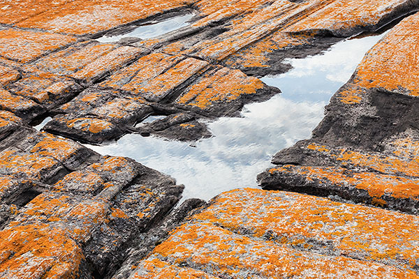 ROCK STUDY #4 - FRANKLIN ISLAND - FRANKLIN ISLAND, NORTH -  GEORGIAN BAY