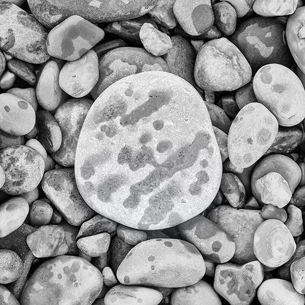 WRITTEN BY RAIN - OCTOBER, 2018 - THE BRUCE, OCTOBER 2018