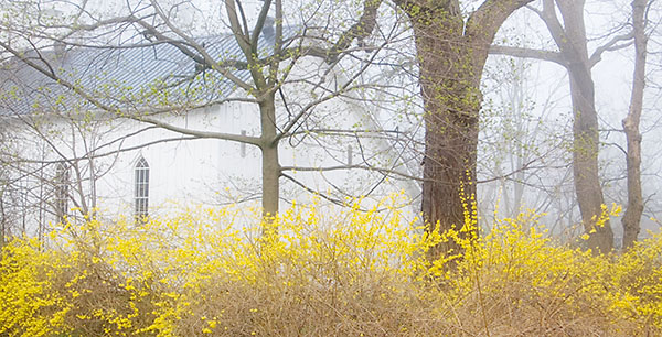 SPRING - PORT RYERSE - PORT RYERSE