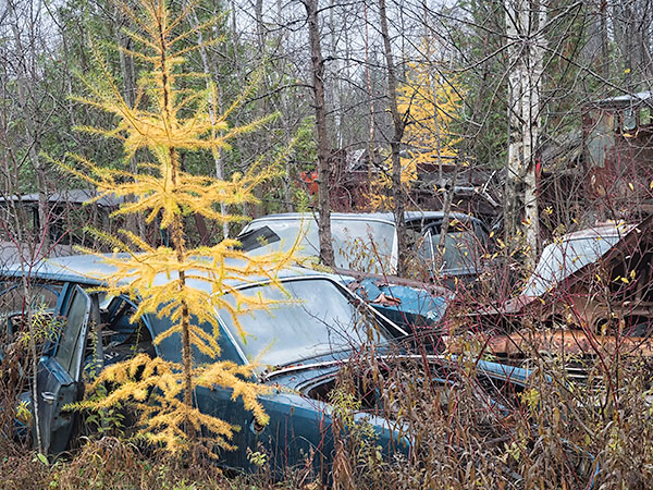 WRECKING YARD, NOVEMBER 2018 - THE WRECKING YARD PROJECT