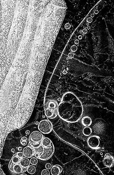 ICE - B&W - IN THE COUNTRY
