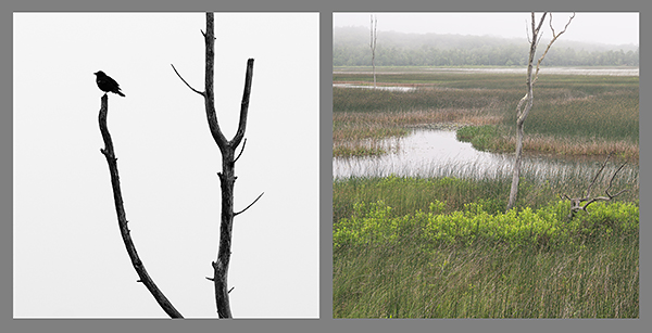 HE/SHE #3, 2018 - HE SAW/SHE SAW 2018-2019