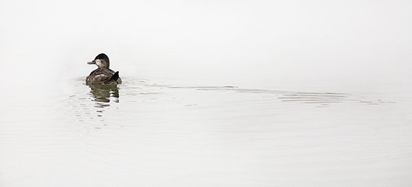 WEEK 6 - LARRY'S 52 WEEKS,2012 - LONG POINT