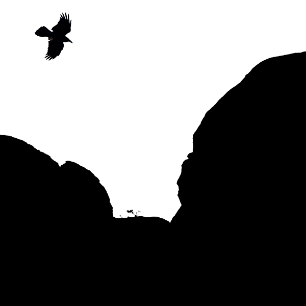 Spirit of the Canyon - Avian Graphics