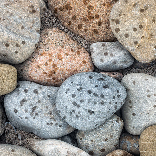 DOTTY - LONG POINT BEACH - DETAILS