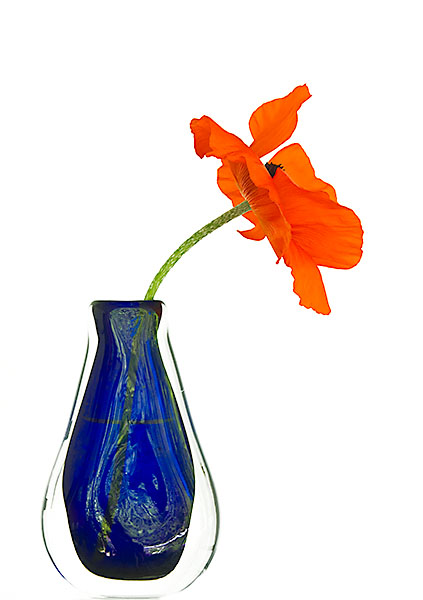 POPPY AND BLUE VASE #2 - FLORAL EXPRESSIONS