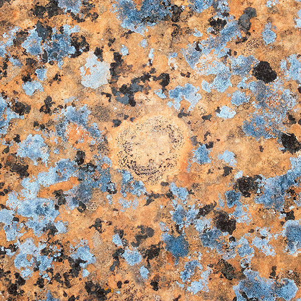 LICHEN DETAILS, CANYONLANDS NP - UTAH - THE SOUTHWEST 2018