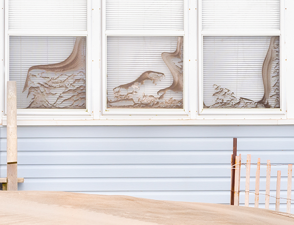 Fence-Window-Sand - Sand Fences Of Long Point Beach