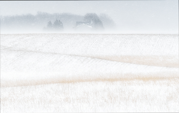 SHELTER - NORFOLK COUNTY - WINTER