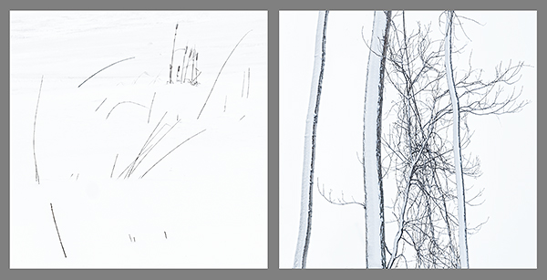 HE/SHE #19, 2019 - HE SAW/SHE SAW 2018-2019