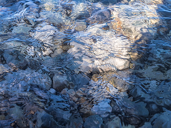 SPOTLIGHT - GEORGIAN BAY - THE BRUCE, JUNE 2018