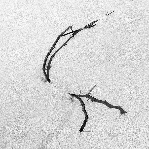 SHADOW DANCE - PORT RYERSE - B&W
