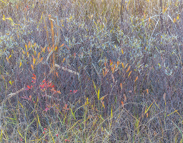 CAPE HURD ROAD - OCTOBER, 2018 - THE BRUCE, OCTOBER 2018