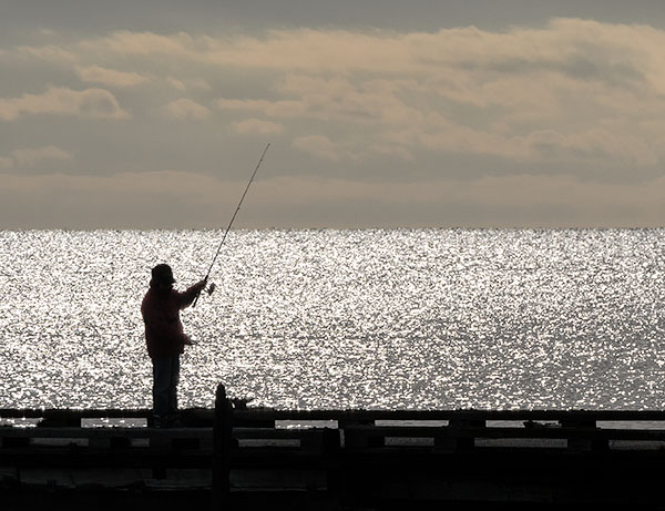 MORNING FISHERMAN - PORT ROWAN - SUMMER