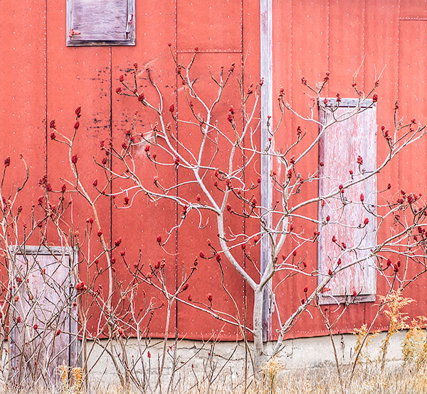 #22 - KILNS OF NORFOLK COUNTY - LARRY's KILN GALLERY REVISITED