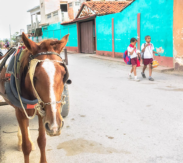 HORSE & SCHOOLBOYS - TRINIDAD DE CUBA - CUBA