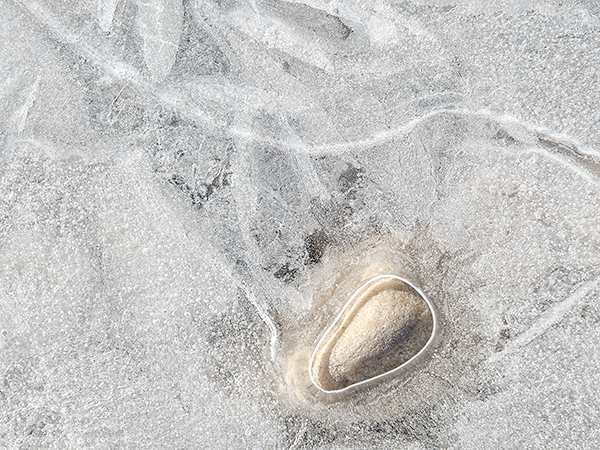 WINTER PUDDLE #2, 2018 - LONG POINT BEACH - DETAILS