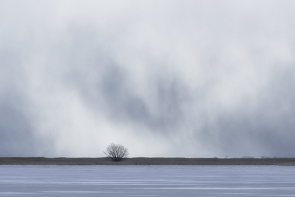 SNOW SQUALLS, 2017 - LONG POINT - WINTER
