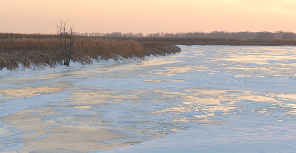 BLUE & GOLD -BIG CREEK, NORFOLK COUNTY - THE MARSH