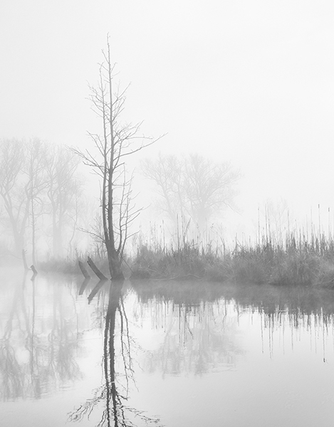 Big Creek--May Fog - From My Kayak