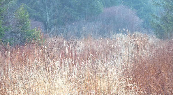 AWAITING SPRING, APRIL 2018 - NORFOLK COUNTY - PHOTO STORAGE