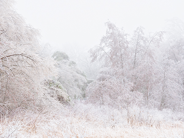 FOG & ICE - LONG POINT - AT HOME