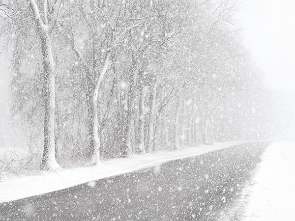 Winter Silence - The Zen of Norfolk