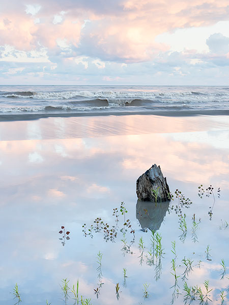 POND REFLECTION - LONG POINT - BAY & BEACH