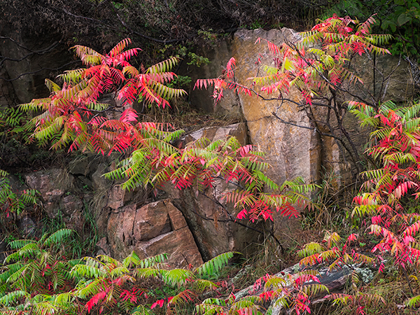 SUMAC - RABY LAKE - KATHY'S TENSET, 2013