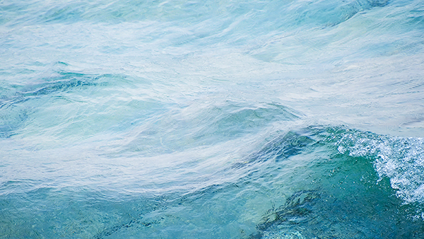 GEORGIAN BAY, 2015 - BRUCE PENINSULA - BAY & SHORE