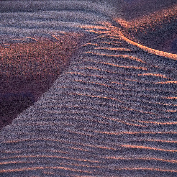 LATE LIGHT - LONG POINT BEACH - DETAILS