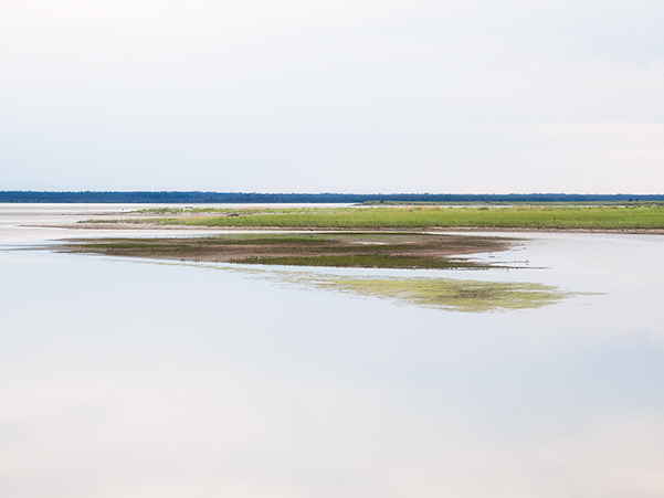 KOUCHIBOUGUAC NP - NEW BRUNSWICK - KATHY'S TENSET 2017